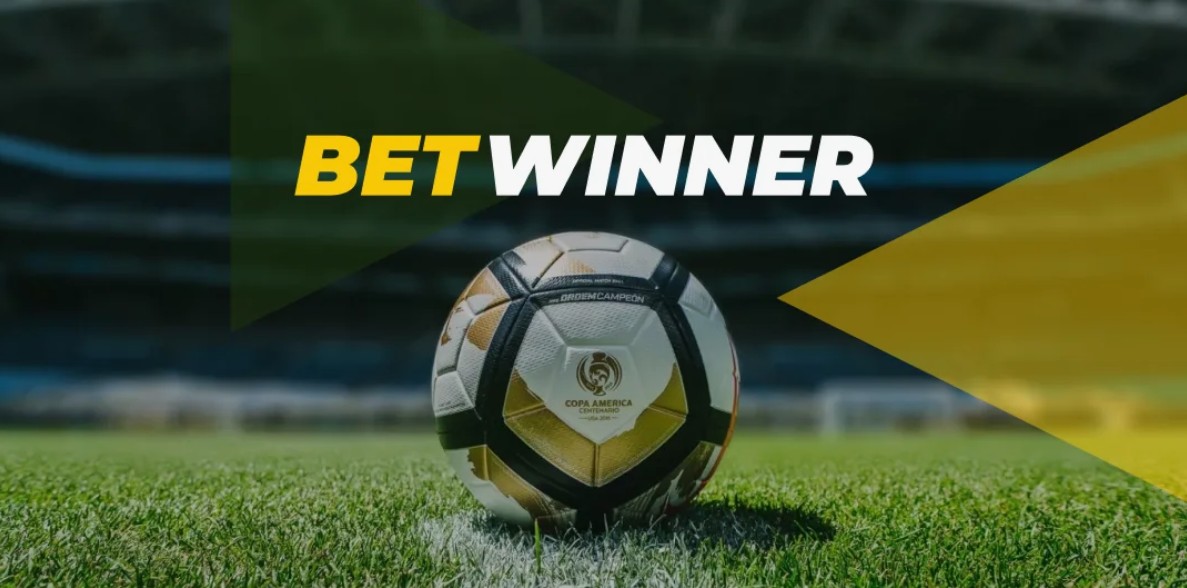Tout ce que vous devez savoir sur Betwinner APK